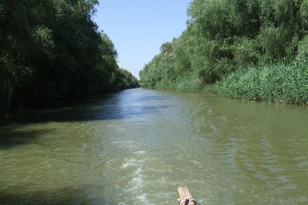 Două ambarcaţiuni cu turişti s-au ciocnit în zona Dunăvățu de Jos în Delta Dunării