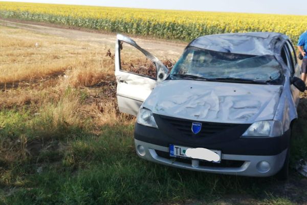 A evitat un câine, a ieşit cu maşina în decor şi s-a răsturnat