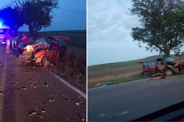 Accident pe DN 22. A intrat cu maşina în copac şi a ajuns la spital