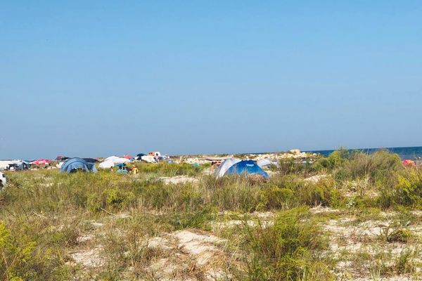 ARBDD intensifică acțiunile de control în zona Vadu