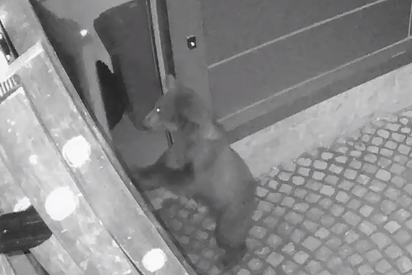 ITI - Linie de finanțare de 5 milioane de euro pentru calificare profesională