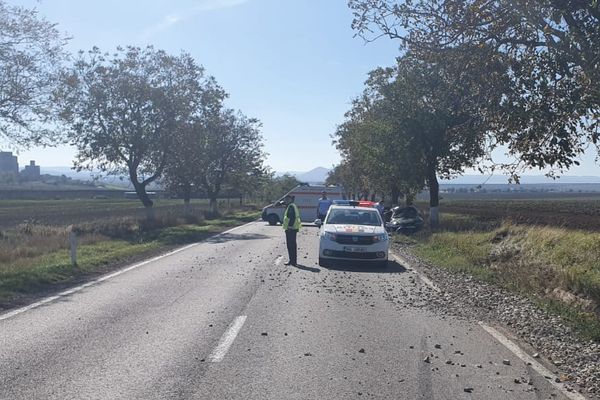 Un tulcean s-a înfipt cu maşina în copac aproape de Cataloi