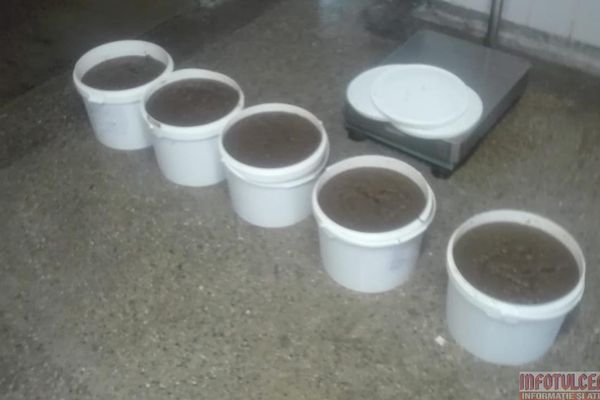 Polițiștii de frontieră au prins "peștele cel mare" cu 55 kg de icre