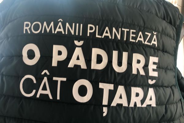 Campanie gigant de împădurire. Ministrul Mediului, Costel Alexe: Anul acesta, vom ridica 2.500 de păduri de la zero