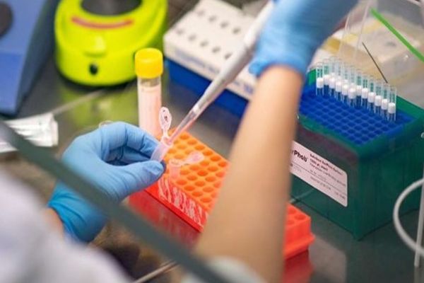 Testări pentru depistarea Covid-19, de săptămâna viitoare, la Tulcea