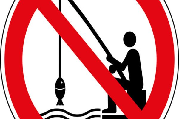 A început prohibţia la ştiucă. Prohibiţia generală din 4 aprilie