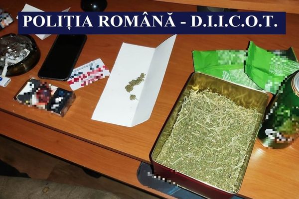 Au fost arestaţi doi dealeri de cannabis