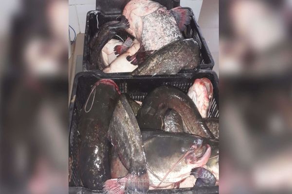  VIDEO  Braconieri surprinși la pescuit, cercetați pentru că au pus în pericol viaţa unui poliţist de frontieră