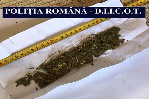 Cercetat pentru trafic ilicit de substanțe psihoactive