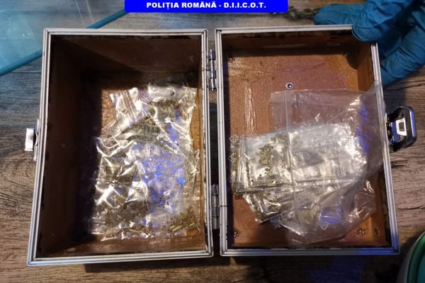 Percheziții la Constanța.  Persoane arestate pentru trafic  cu substanțe psihoactive