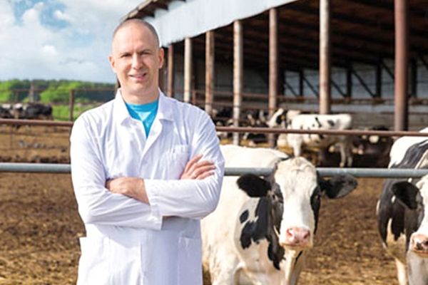 Guvernul a aprobat legislația pentru ca medicii veterinari să încaseze 10.000 lei pe lună