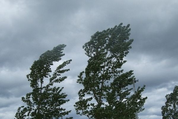 Alertă meteo. Cod galben de vânt în județul Tulcea