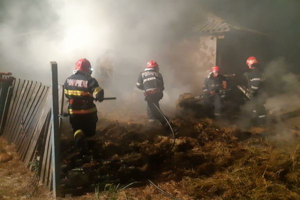 FOTO| Incendiu puternic la Valea Nucarilor. Sute de baloți de lucernă făcuți scrum