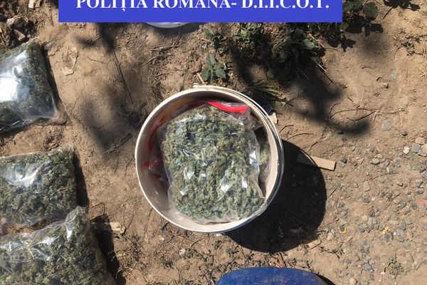 Trei tineri din Tulcea reținuți  pentru trafic de droguri