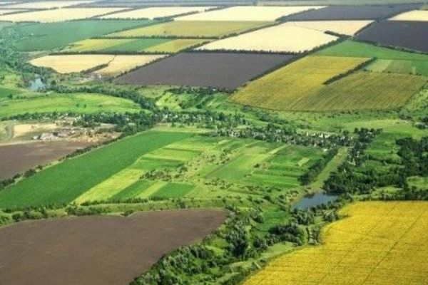 Pregătirea recensământului agricol va avea loc între 12 și 23 octombrie