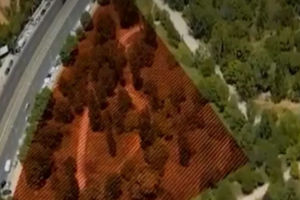 "Culisele statului paralel" Cum a fost devorat spațiul verde din sectorul 6 de către rechinii imobiliari, cine a stat în spate