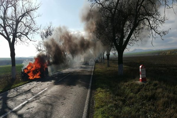 VIDEO| Mașină în flăcări după ce s-a izbit de un copac