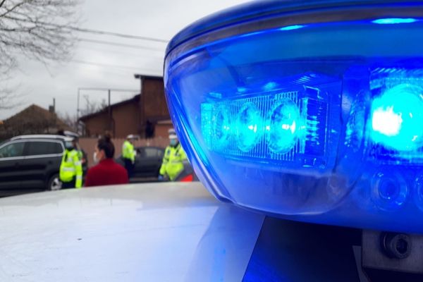 Ample controale ale autorităților din Tulcea! Amenzi de peste  14.500 de lei, într-o zi!