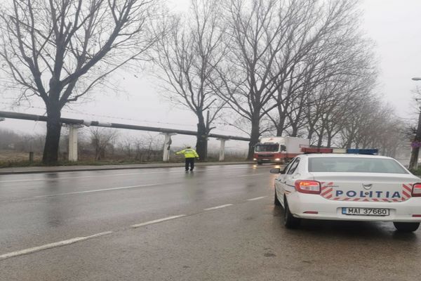 RAZII ale polițiștilor tulceni pentru prevenirea și combaterea delictelor silvice