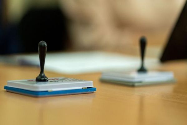 ALEGERI PARLAMENTARE 2020 | Peste 43.000 de români au votat în diaspora până sâmbătă, la ora 13.00