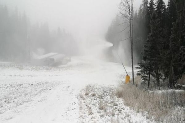 Cod galben de ninsori și viscol în 13 județe din țară