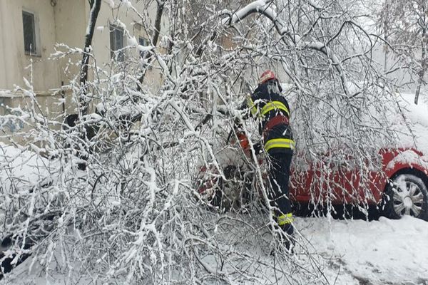 FOTO VIDEO Tulcea sub cod portocaliu. Copaci căzuți,mașini înzăpezite
