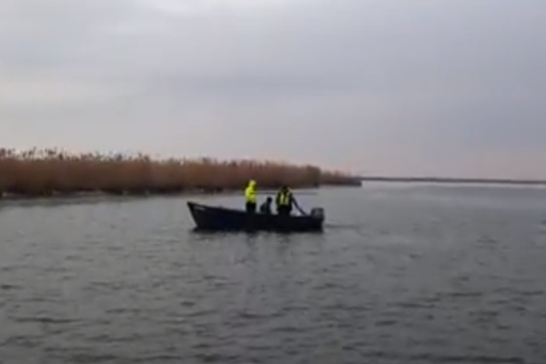 VIDEO  Polițiști de frontieră amendați după ce au fost surprinși cu barca într-o zonă protejată din Rezervația Delta Dunării