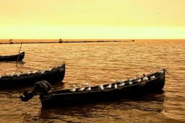 A început prohibiția pescuitului la știucă