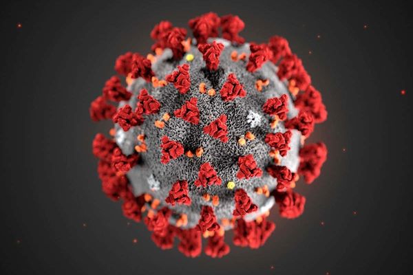 Bilanț coronavirus 9 februarie: 2.797 de cazuri noi și 95 de decese