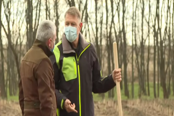 VIDEO Președintele Klaus Iohannis a dat startul campaniei de împădurire în zona deşertificată din sudul României