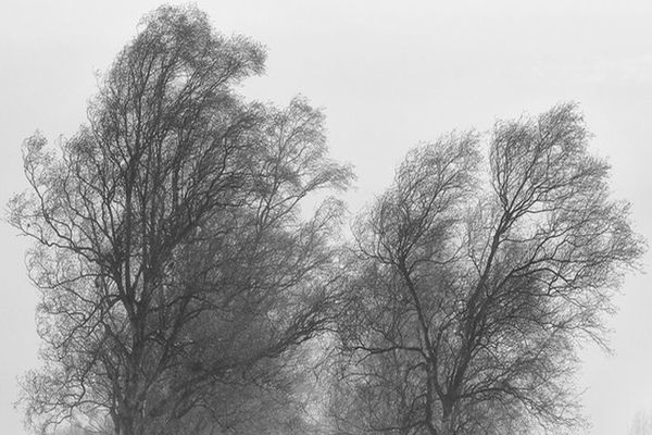 ANM: Cod galben privind intensificări ale vântului