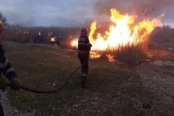 VIDEO| Arderea vegetației, interzisă în Deltă. În caz contrar se vor aplica amenzi drastice