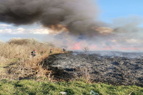 FOTO VIDEO Incendiu de vegetaţie uscată și stuf în Tulcea