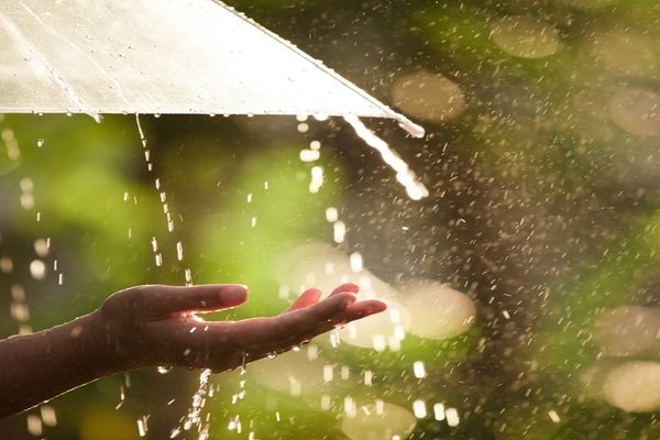 Plouă aproape în toată țara