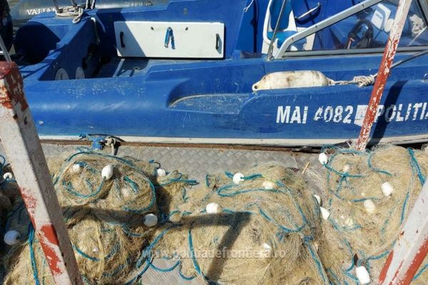 Braconieri prinși în flagrant de polițiștii de frontieră