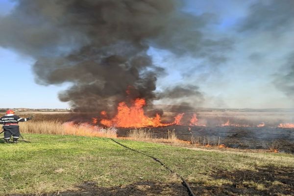 FOTO VIDEO| 3 hectare de vegetație uscată și stuf s-au făcut scrum în Tulcea