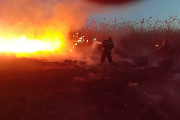 FOTO  Incendiu violent de vegetație uscată și stuf