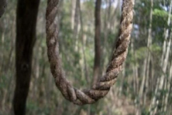 Bărbat găsit spanzurat într-o pădure din Tulcea