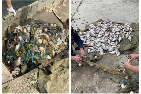 Braconaj pe Lacul Merheiul Mare