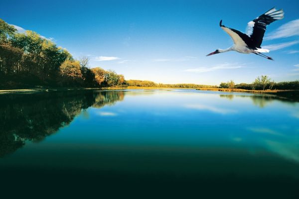 FOTO 21 mai - Ziua Europeană Natura 2000