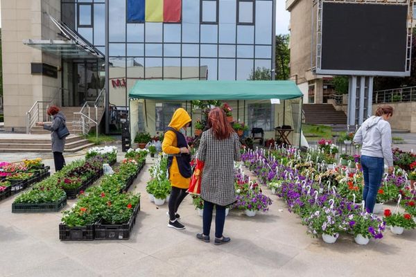 EXPOFLORA la Tulcea