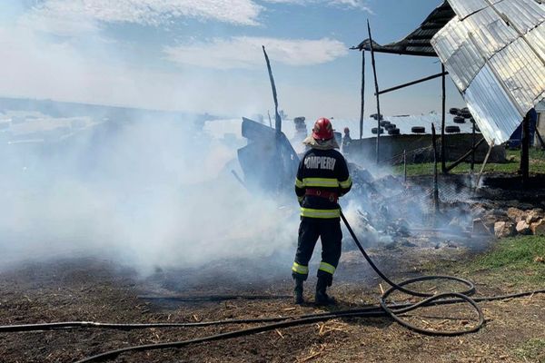 VIDEO Incendiu violent la un depozit de furaje din Tulcea