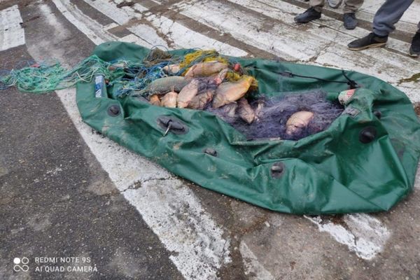 Braconaj piscicol în perioada de prohibiție