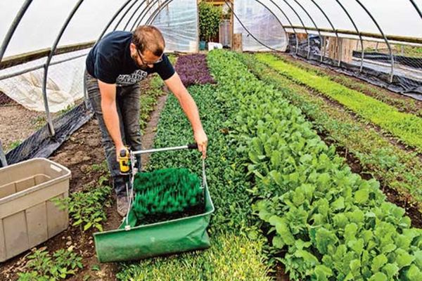 INS: Aproape 118.000 de persoane inactive pe piața muncii din România se declarau dornice să muncească, anul trecut