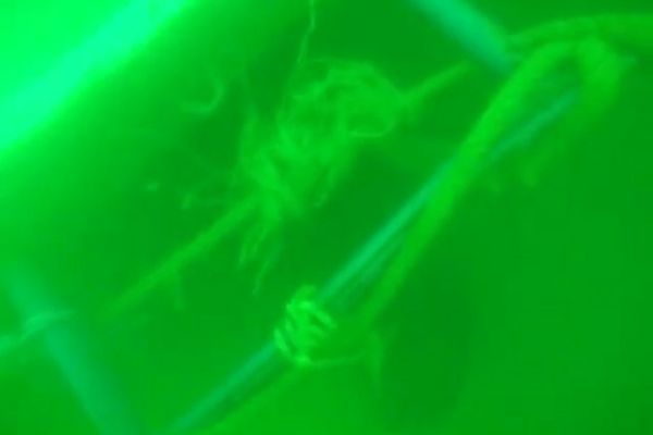 VIDEO| Imagini cu pescadorul scufundat  în Marea Neagră
