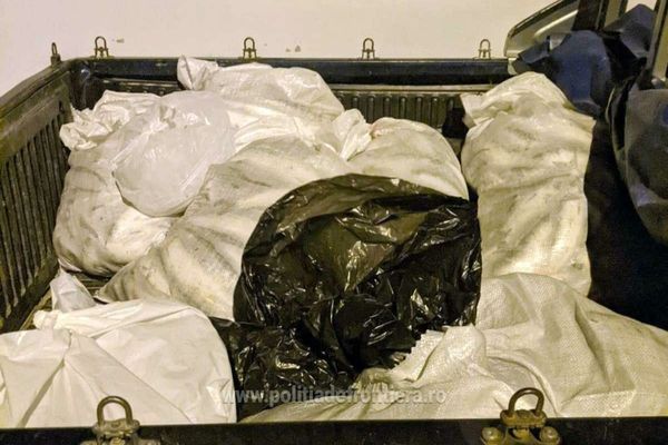 172  kilograme de scrumbie confiscate la Sfântu Gheorghe