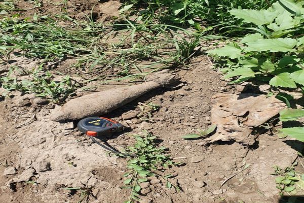 Descoperire "explozivă" pe câmp 