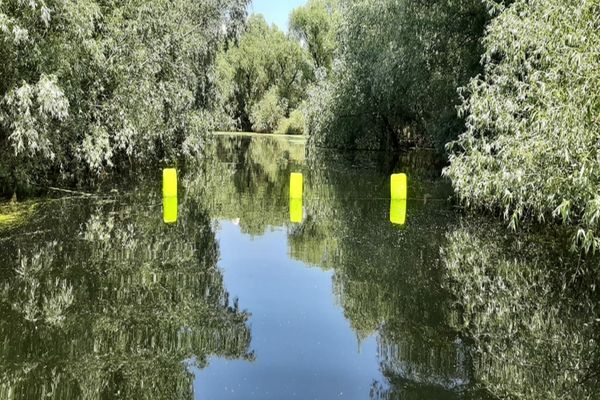 Măsuri pentru protecția habitatelor naturale din Rezervația Biosferei Delta Dunării