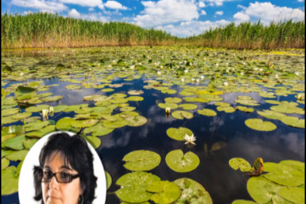 Atena Adriana Groza e propusă de USR PLUS ca guvernator al Deltei Dunării