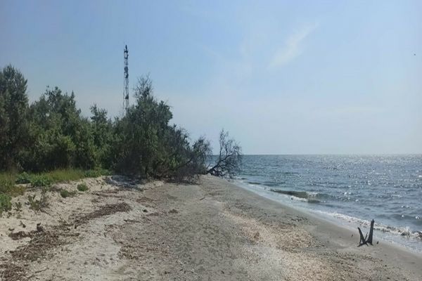  Viperele de stepă și-au făcut apariția în Rezervaţia Biosferei Delta Dunării